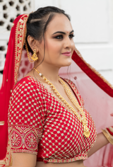 Red Bridal Lehenga - Aayushi Pathania Jaipur