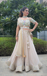 Heavy embellished bling lehenga - Aayushi Pathania Jaipur