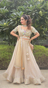 Heavy embellished bling lehenga - Aayushi Pathania Jaipur