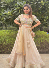 Heavy embellished bling lehenga - Aayushi Pathania Jaipur